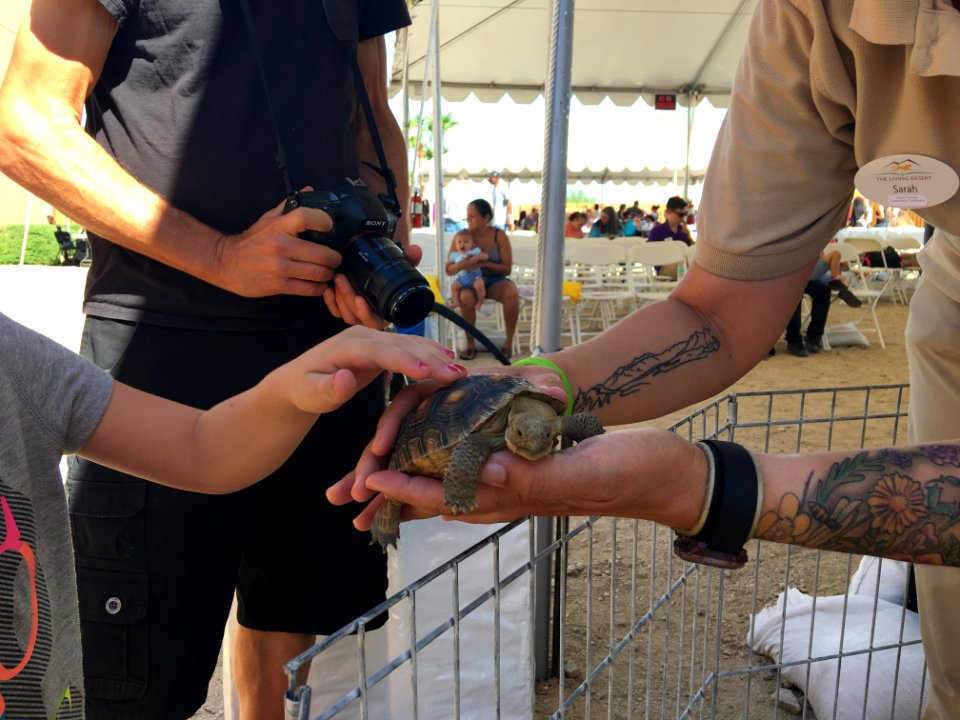 Desert Tortoise Awareness Day 2018