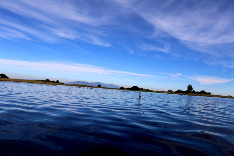 Vernal Pool at Santa Rosa Plateau