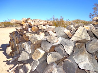Stacked Wood