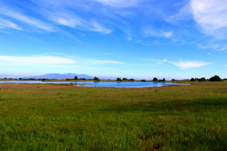 Vernal Pool at Santa Rosa Plateau photo