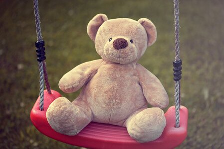 Stuffed animal soft toy bears