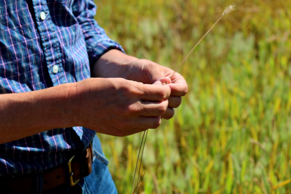 Jonathan Pilch, executive director of Watsonville Wetlands Watch.