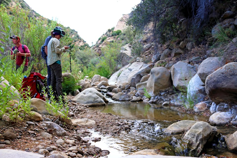 Western Pond Turtle Survey (USGS)
