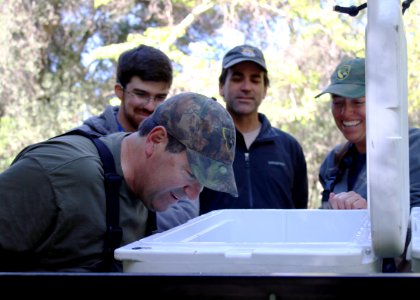 Biologists and scientists from the U.S. Fish and Wildlife Service and the California Department of Fish and Wildlife observe unarmored threespine sticklebacks before rereleasing them into the wild photo