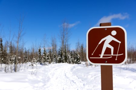 Cross country ski trail