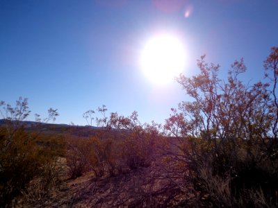 Desert Landscape photo