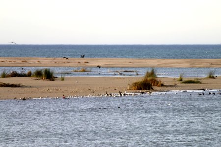 The Santa Clara River estuary.