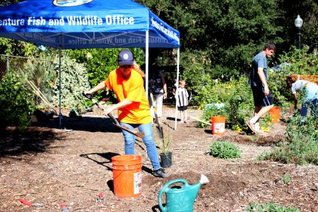Volunteers in the Garden