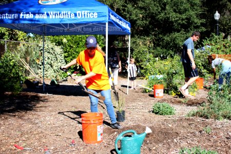 Volunteers in the Garden photo