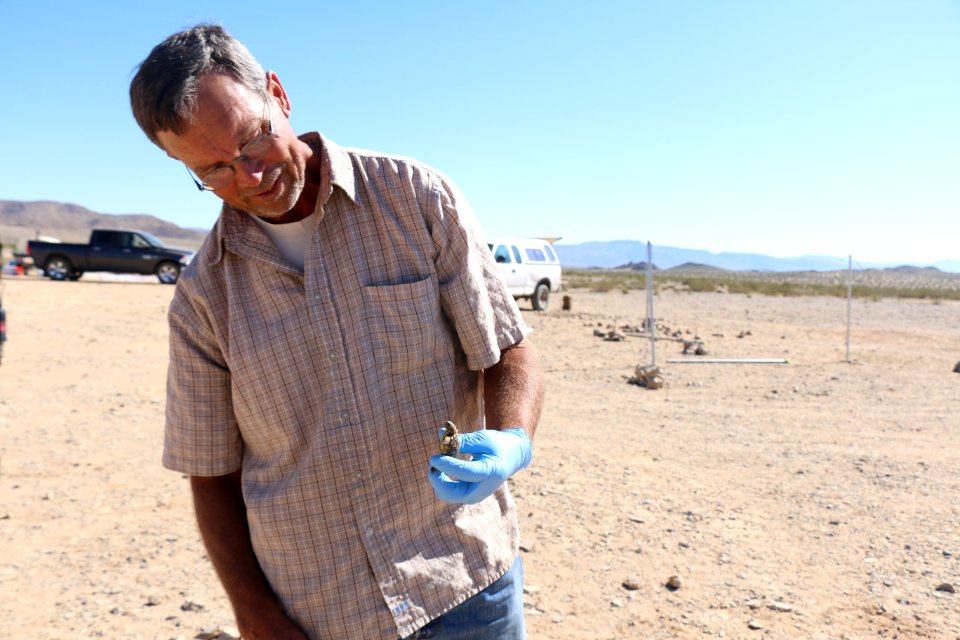 Dr. Brian Henan, biologist with MCAGCC, holds a juvenile desert tortoise at 29 Palms