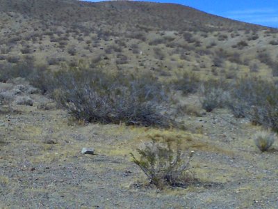 Mojave Desert El Paso Mountains