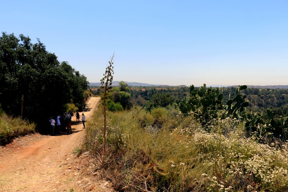O'Neill open space - Orange County