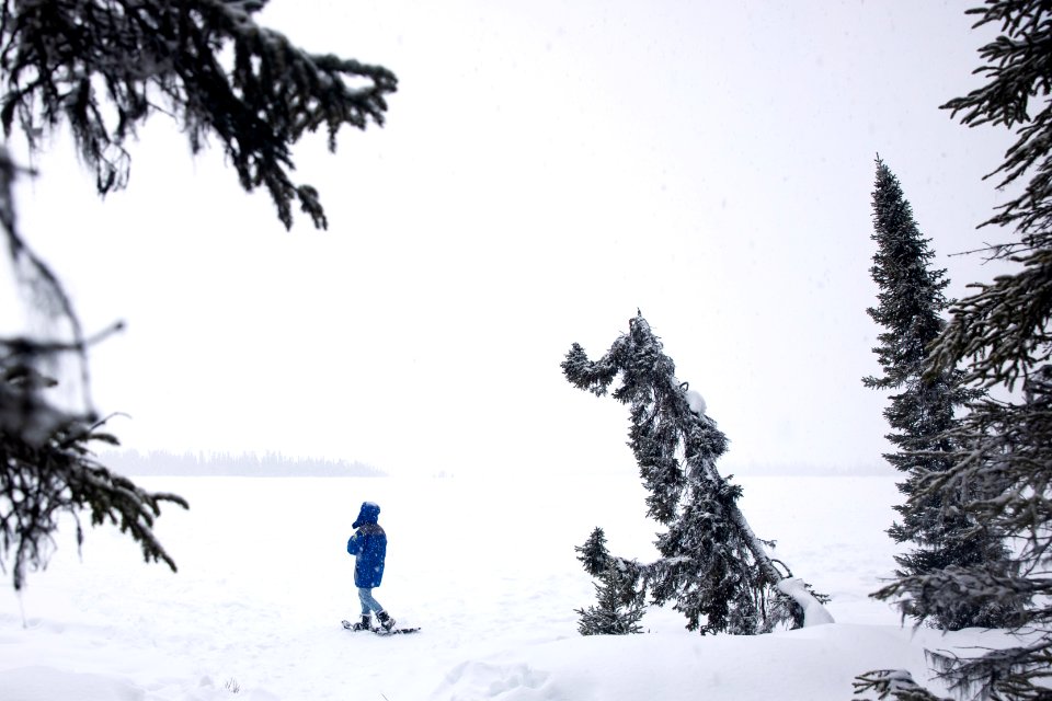 Taking a walk in snowshoes at Kenai National Wildlife Refuge.
