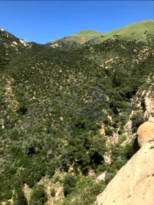 California condor nest with a view