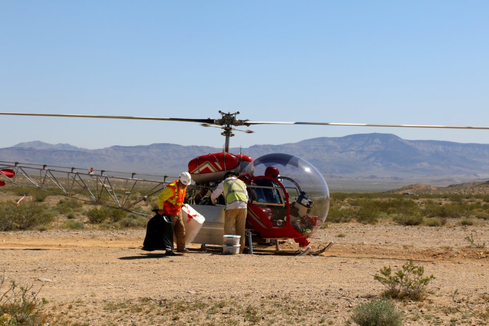 Helicopter translocates tortoises at Marine Corps Base 29 Palms