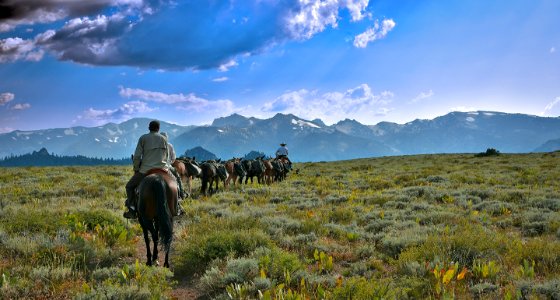 Traveling into Carson-Iceberg Wilderness for Paiute cutthroat trout recovery actions photo