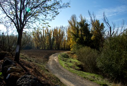 Otoño andaluz photo