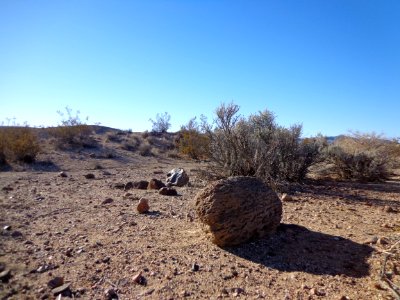 Desert Landscape photo