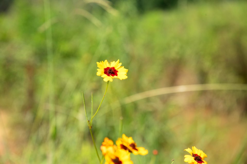 20190627-NRCS-LSC-0880