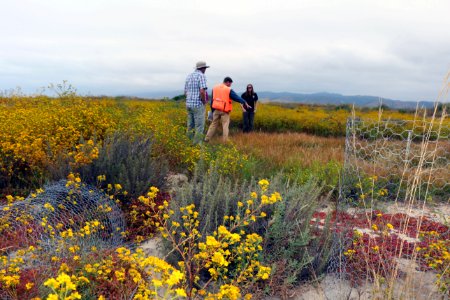 Vernal pool restoration site at Camp Pendleton