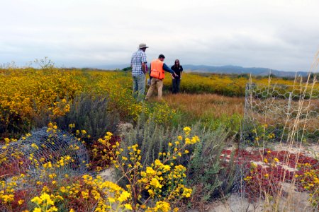 Vernal pool restoration site at Camp Pendleton photo