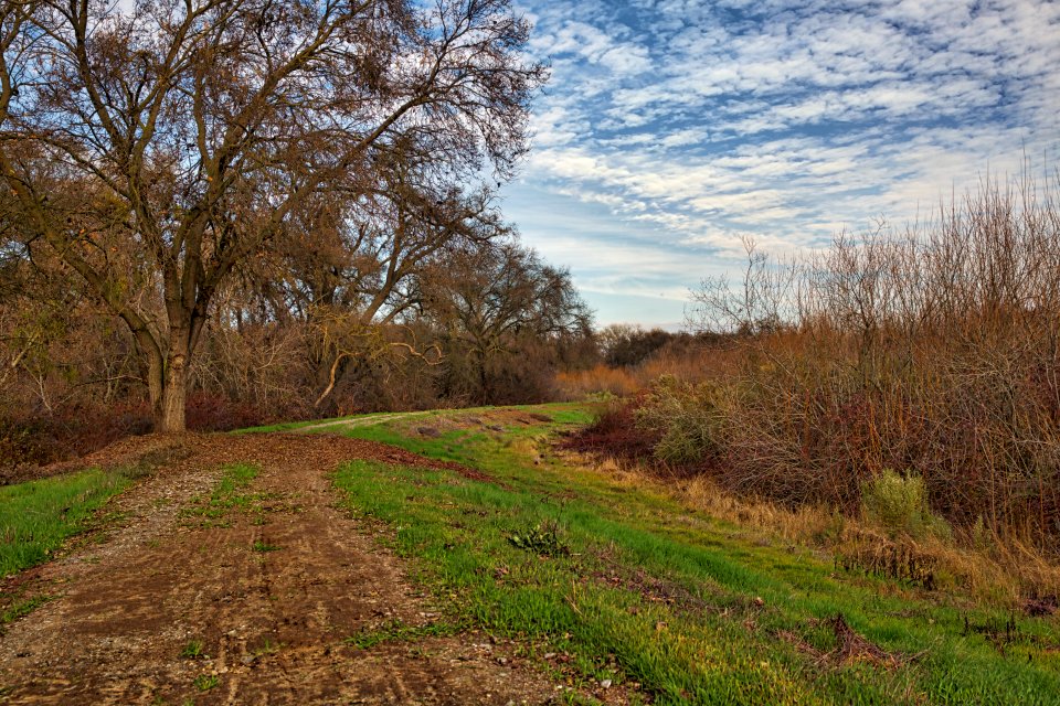 San Joaquin River National Wildlife Refuge