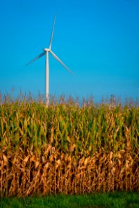20170914-FAS-PJK-0035 TONED