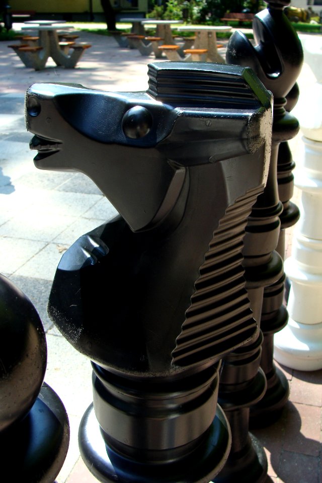 DSC05076