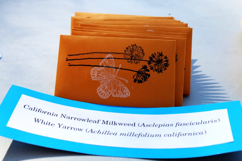 Seeds for Pollinators
