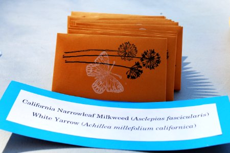 Seeds for Pollinators