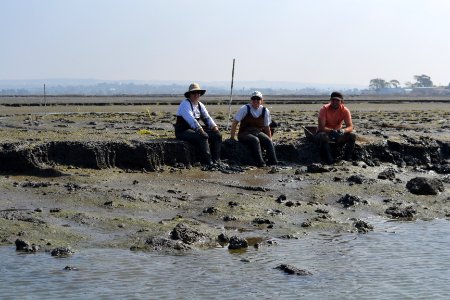 Muddy restoration ecologists