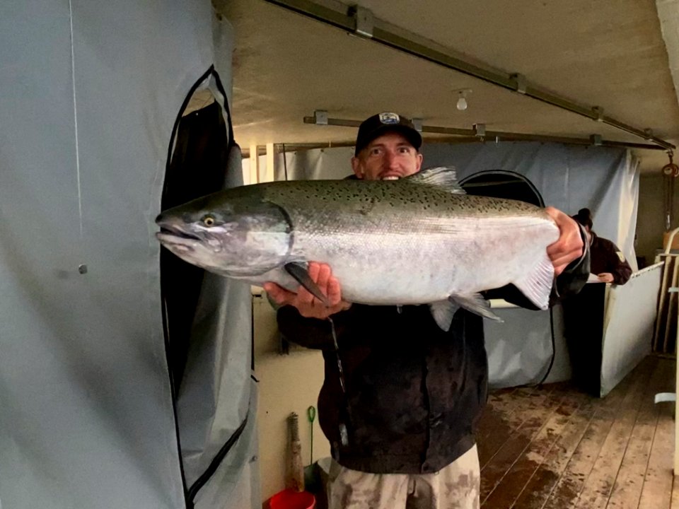 Adult Winter Chinook Salmon