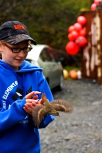 Volunteer helper Nia Pristas releases a bird after banding photo