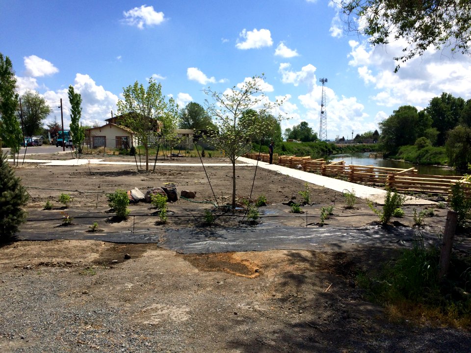 Progress on the park project