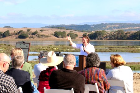 Elkhorn Slough designated "Wetland of International Importance"