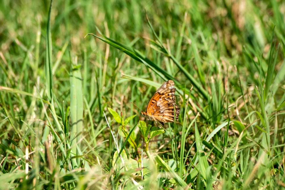 20190627-NRCS-LSC-0865
