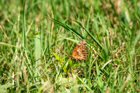 20190627-NRCS-LSC-0865