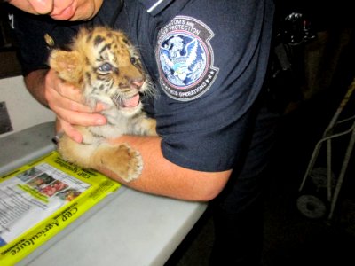 Moka rescued at the border by Customs & Border Patrol agents