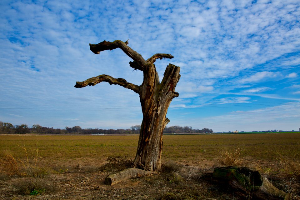 San Joaquin River National Wildlife Refuge