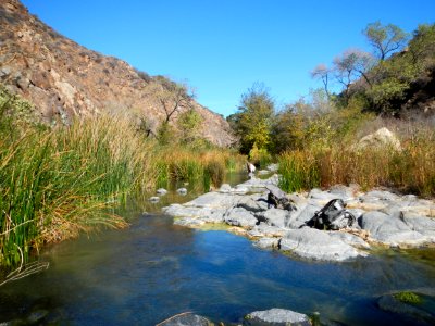 Santa Margarita Headwaters