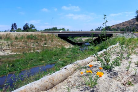 SR-76 Undercrossing by Caltrans to facilitate wildlife movement photo