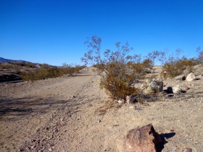 Desert Landscape photo