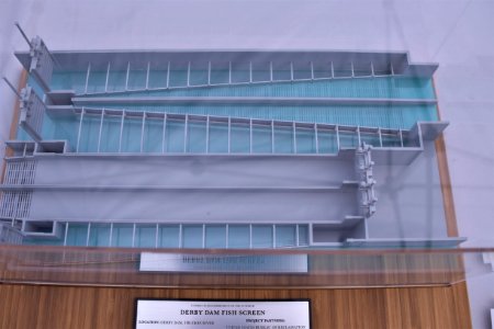 Model of the Derby Dam fish screen project