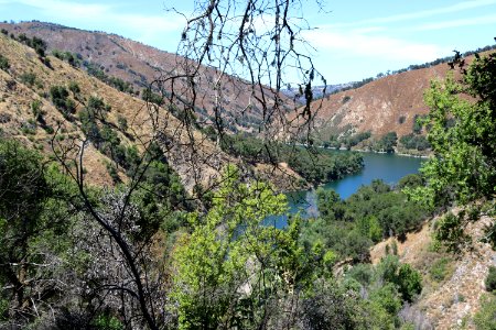 Carmel River from above