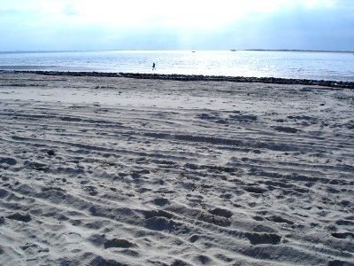 Spiekeroog W-Spitze