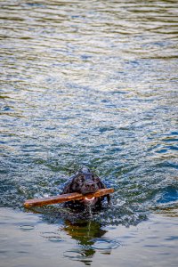 20190912-FS-PJK-00222 TONED