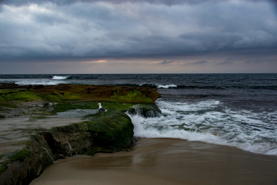 Water Trails at La Jolla Cove photo