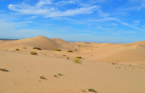Algodones Dunes Wilderness Area photo