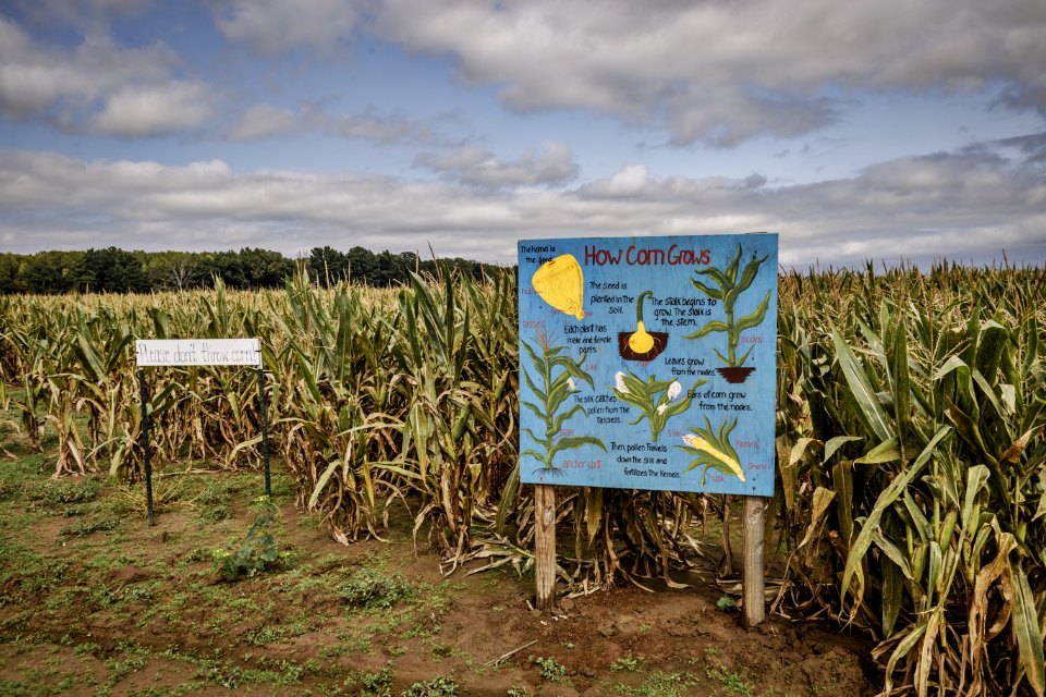20200925-FPAC-PeeblesFarm-017