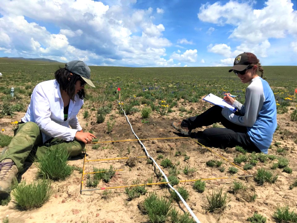 Cathy Silliman, Great Basin Institute and Sarah Kulpa, FWS, collect data on the Martin Fire